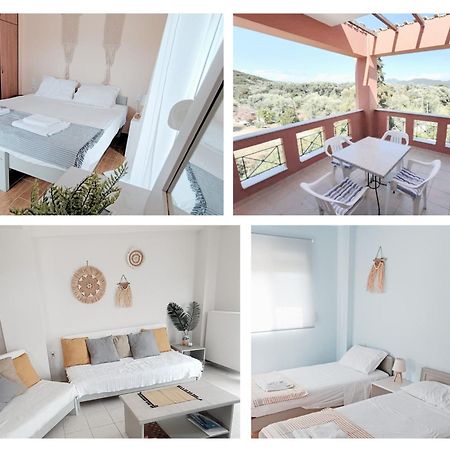 Villa Vasso Maisonette نِكيانا المظهر الخارجي الصورة